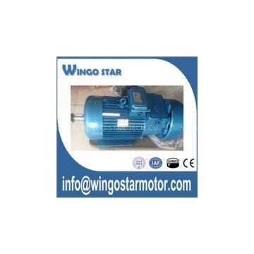 Iec Motor