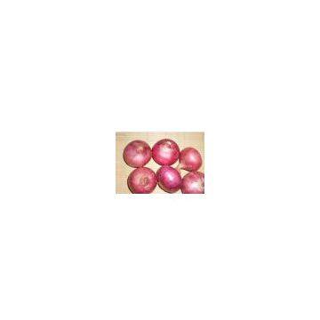 onion