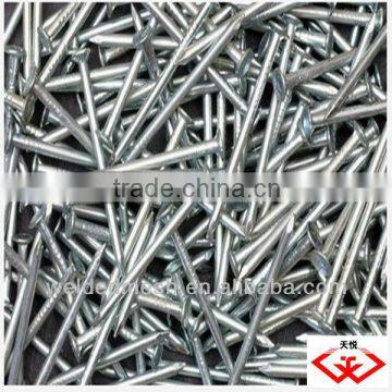 hot sale kinds of common nails