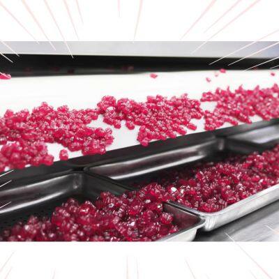 Small Gummy Candy Depositing photo-4