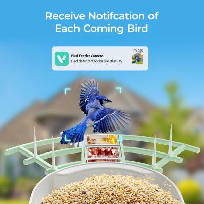 Ringsee Solar-powered Bird Feeder Smart Wifi Outdoor Bird Feeder 3MP Bird Feeder With Camera photo-2
