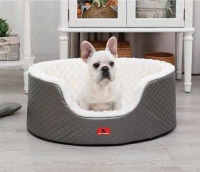 Luxury Pet Bed with Memory Foam Cushion
