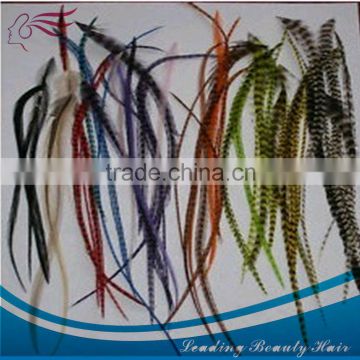 Wholesale good quality not dry cheap Vitality feather hair extension