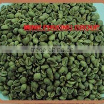 ROBUSTA GREEN COFFEE BEAN SCREEN 16
