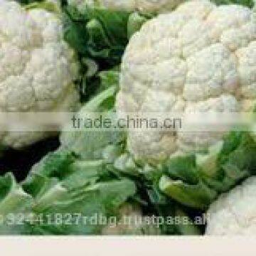 Fresh Cauliflower Exporters/gobi Suppliers in India/fresh Vegetables Export photo-5