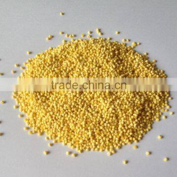 HULLED BROOMCORN MILLET