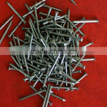 Polised common nails(producer):