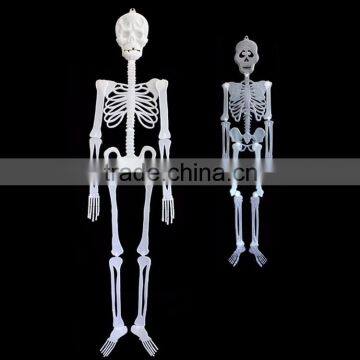 Halloween plastic skeleton