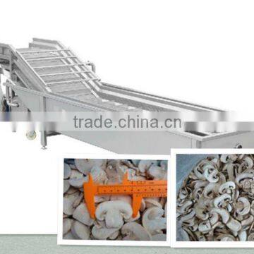 bubble washing machine/food processing machinery/fruit processing equipment