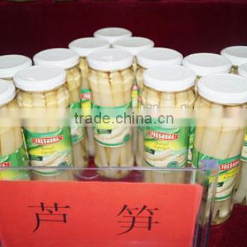 Canned asparagus in good quality with factory price