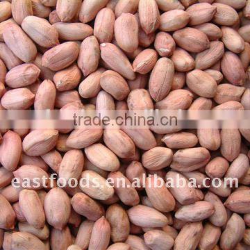 Chinese new crop peanut with skin