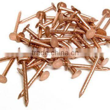 Hot sale!! iron nail for concrete building and wood nail low prices from factory