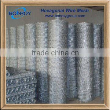 gal. hexagonal wire mesh(factory price)