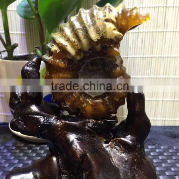 High Quality Natural Cornucopia Conch Ammonite Stones Ornament