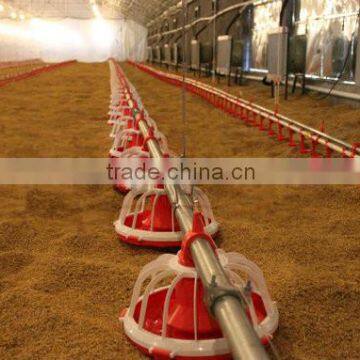 chicken feeding system