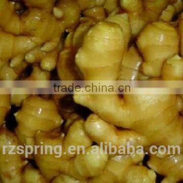 Wholesale Chinese Spicy Mature Fresh Ginger