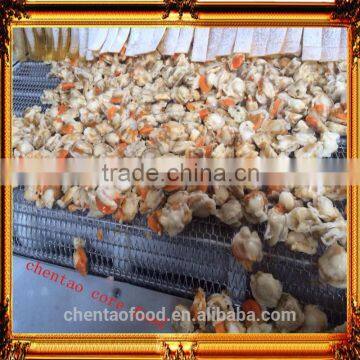 Frozen cooked Scallop in Shell meat