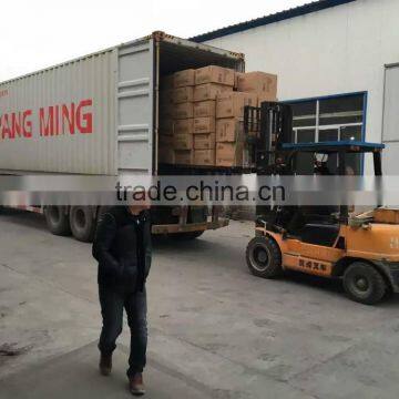 Newest Hot Sale Automatic Mini Egg Incubator/24 Egg Incubator/mini Incubator photo-3