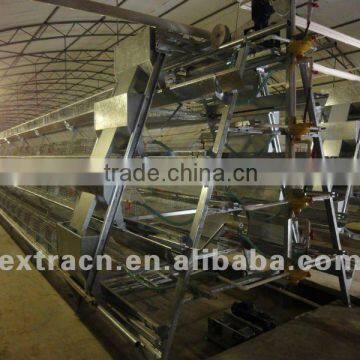 A-type cage for layer and layer breeder