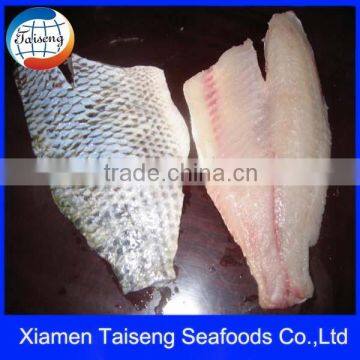 Frozen Tilapia Fillet Skin on