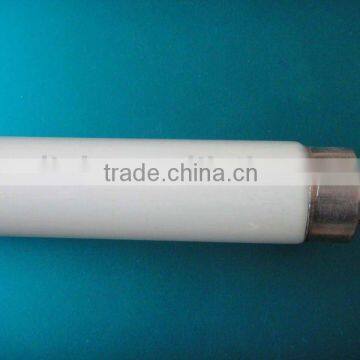T8 Fluorescent lamp