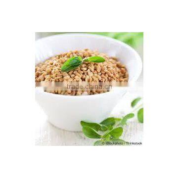 FENUGREEK SEED WHOLE INDIAN SPICES photo-2
