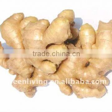 sell Dried ginger in china low price