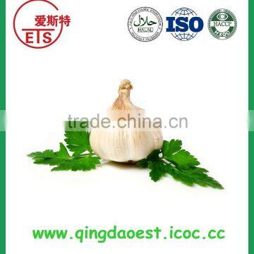 Jinxiang Fresh Best Price Normal White Garlic on Sale photo-2