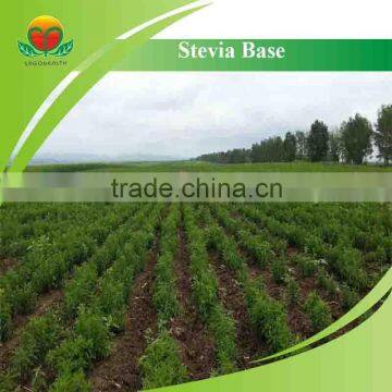 Lower Price Stevia Extract