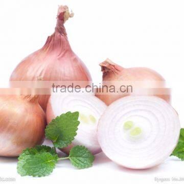 FX-128-3A High Efficiency Hot Sale Onion Peeling Peeler Machine photo-6