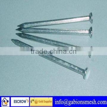 China professional factory,high quality,low price, wood nails