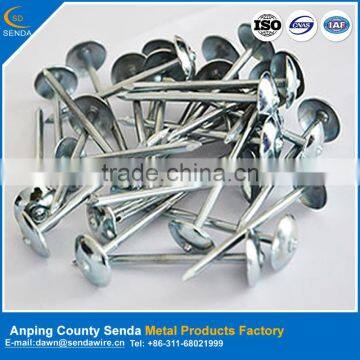 low price polished umbrella head roofing nails /galvanized surface treatment nails