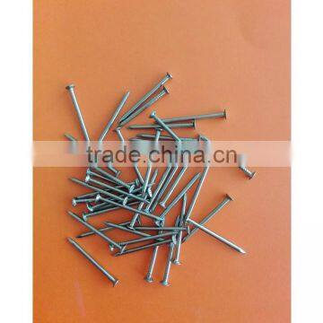Common Nails/common Iron Nail Factory From China photo-4