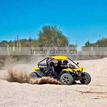 800cc/1100cc Chery EFI Engine 4x4 go Kart for Sale (TKG800-2) photo-6