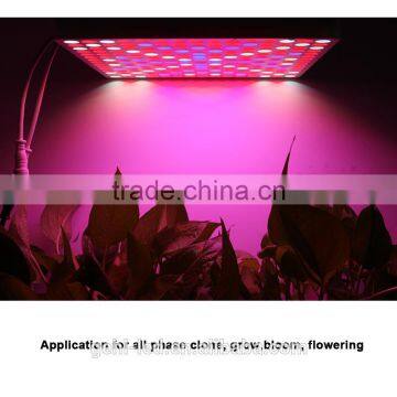 Factory Price 50W Hydroponic Led Grow Panel Light photo-3