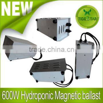 600w Hydroponics magnetic ballast for grow light indoor plant growth