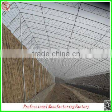 High Quality Single/multi-span Agricultural Plastic Houses for Sale photo-4