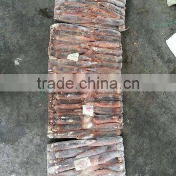 Frozen Argentina Squid photo-4