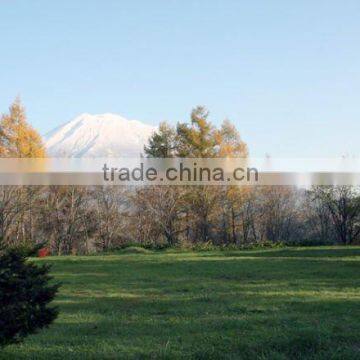 Ski Resort , Land for Sale , Condominiums , Hotels , Land for Invest photo-2