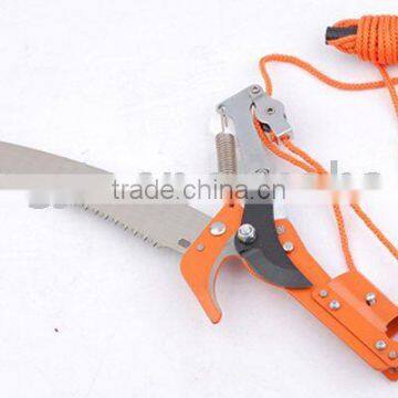 ratchet pole tree pruner
