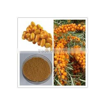 Seabuckthorn fruit extract powder, Hippophae rhamnoides Extract powder