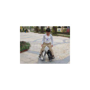 Free Shipping + New Fashion High-tech Sport Rechargeable Portable Self Balancing Unicycle photo-3