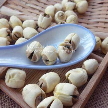Lotus Seed Lotus Nut Lotus Kernel Dried Handmade White Lotus Seed With Core Plumule photo-2
