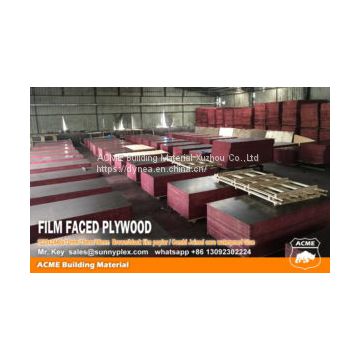 shuttering formwork concrete plywood