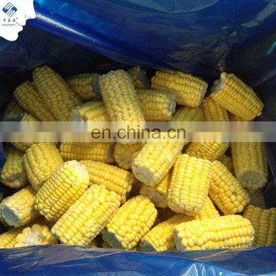 Sinocharm Frozen vegetable  Grown in Greenhouses 5-7cm IQF Cut Sweet Corn Frozen Sweet Corn