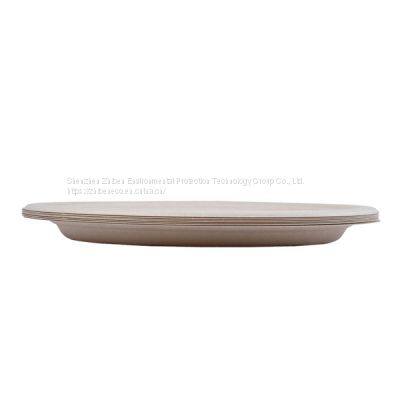 Bagasse Sugarcane Disposable Biodegradable Compostable Party Paper Pulp Plates