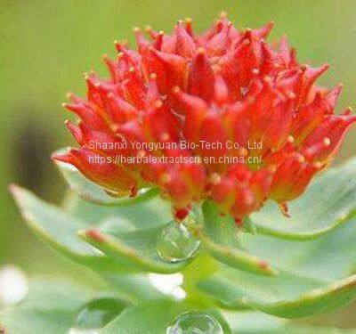 Rhodiola rosea Extract, Rhodiola crenulata Extract, Salidroside 98%, Rosavins 3%, China, Yongyuan Bio