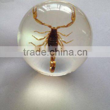 Professional Wholesale Inflatable Clear Plastic Ball With Human Ember Embedded photo-3