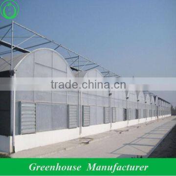 8mm galvanized steel polycarbonate greenhouse