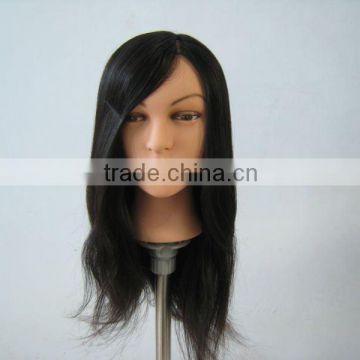 Male/Female Hair Training Head